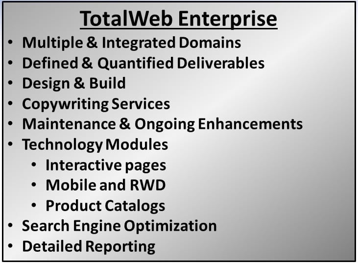 TotalWeb Partners Enterprise Website Development